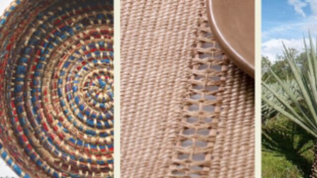 La producción de henequén en Yucatán empezó a decaer desde los años 40 del siglo pasado