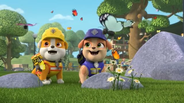 Rubble y equipo de Paw Patrol