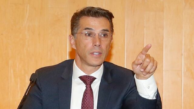 Diputado federal, Sergio Mayer