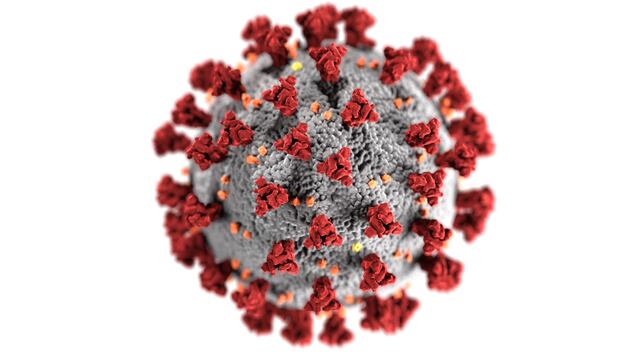 Coronavirus, ilustración creada por el CDC