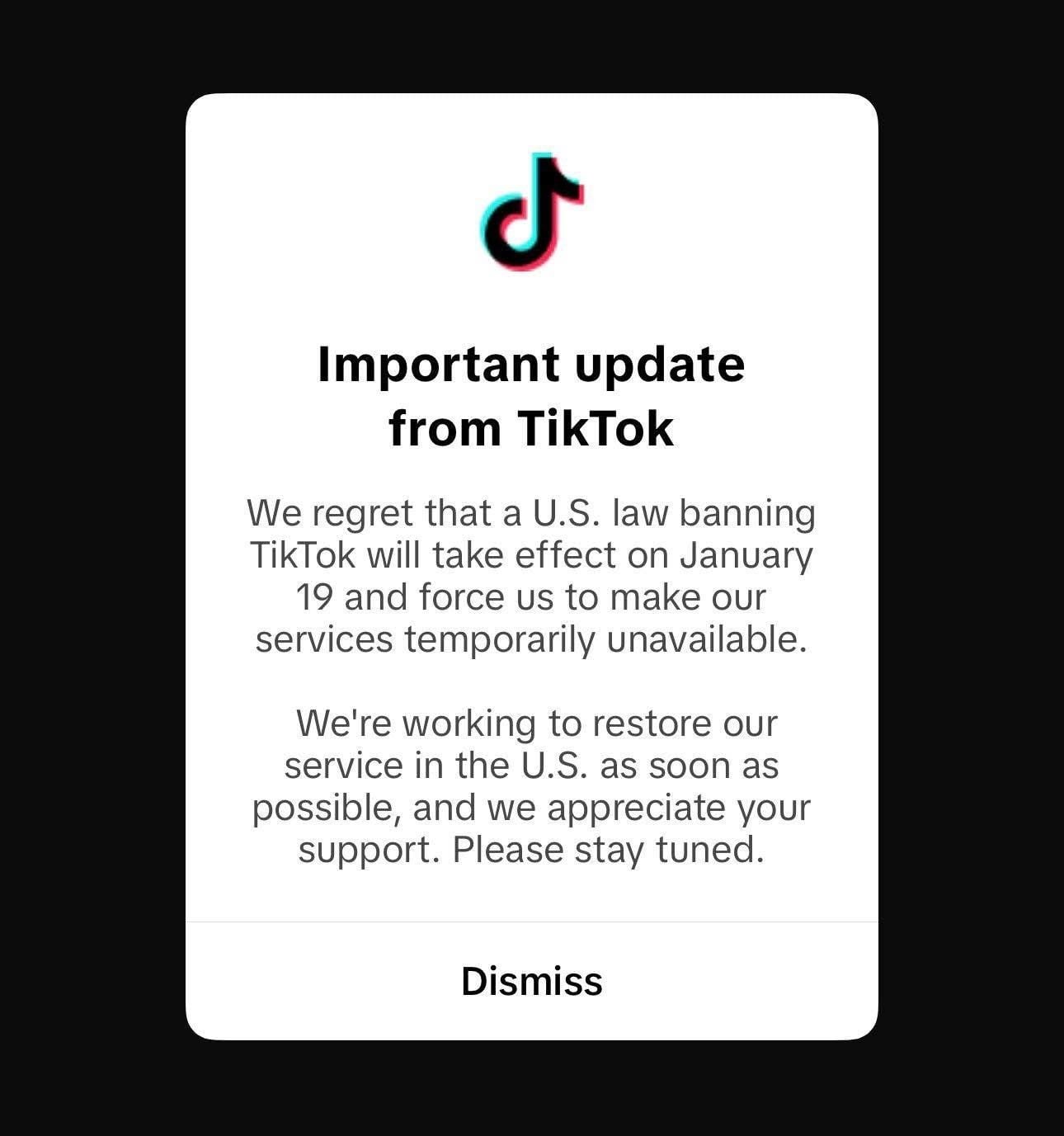 TikTok se despidió temporalmente de sus usuarios en Estados Unidos