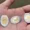 Zoológico de Chapultepec tiene nuevas monedas conmemorativas; precio y modelos disponibles