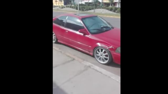 beé muere deshidratado