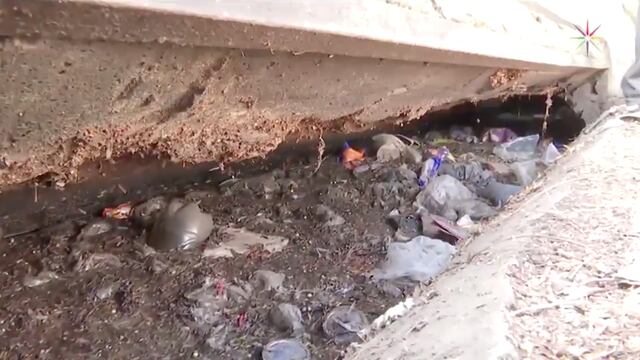 Las coladeras apenas duran unas horas limpias