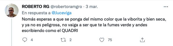 ¿Será peligrosa? La foto de una planta de mariguana y una serpiente se hace viral