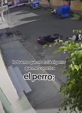 Perro volador le cae a motociclista y lo tira