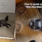 Cree hablar el idioma de los gatos y hasta da clases por TikTok para que los michis te entiendan (VIDEO)