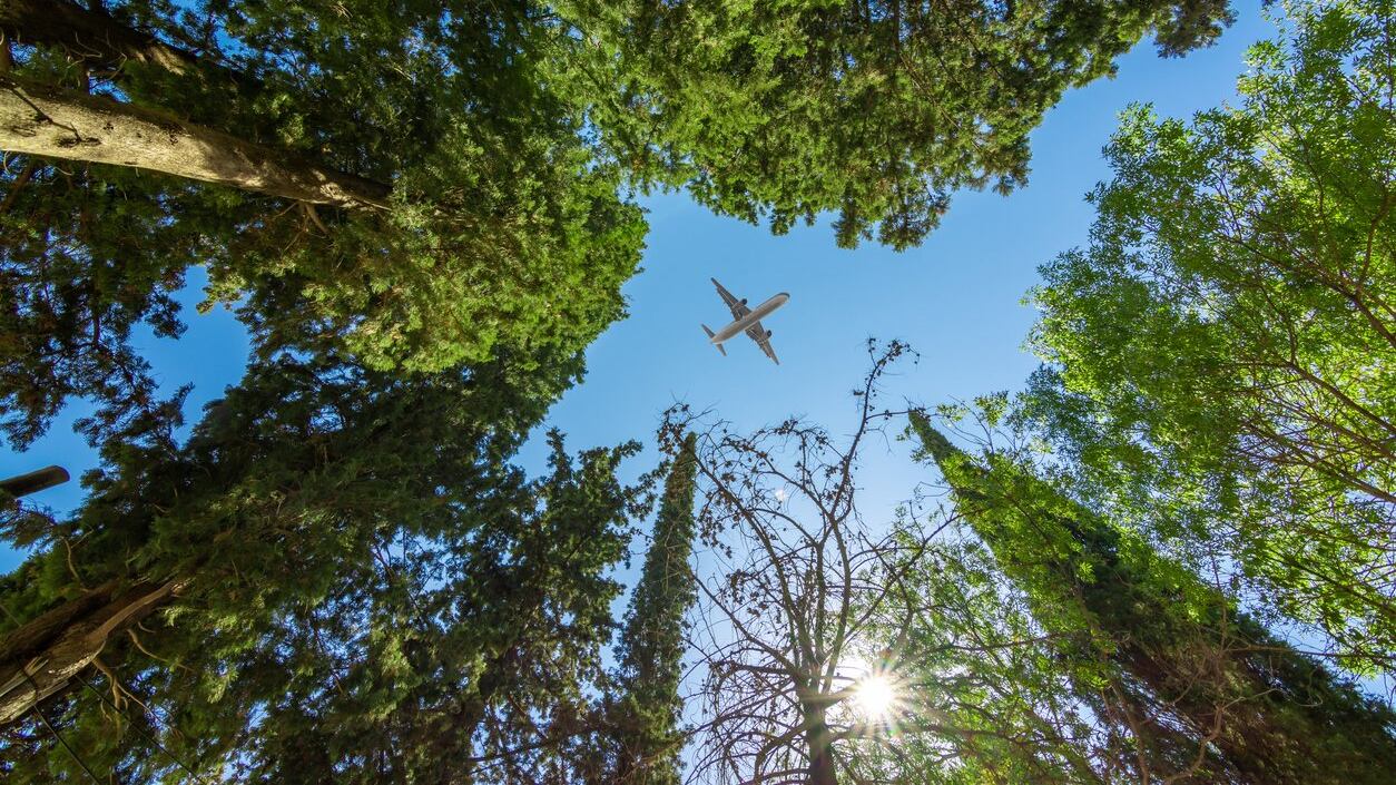 El difícil camino de la aviación sostenible, ALTA