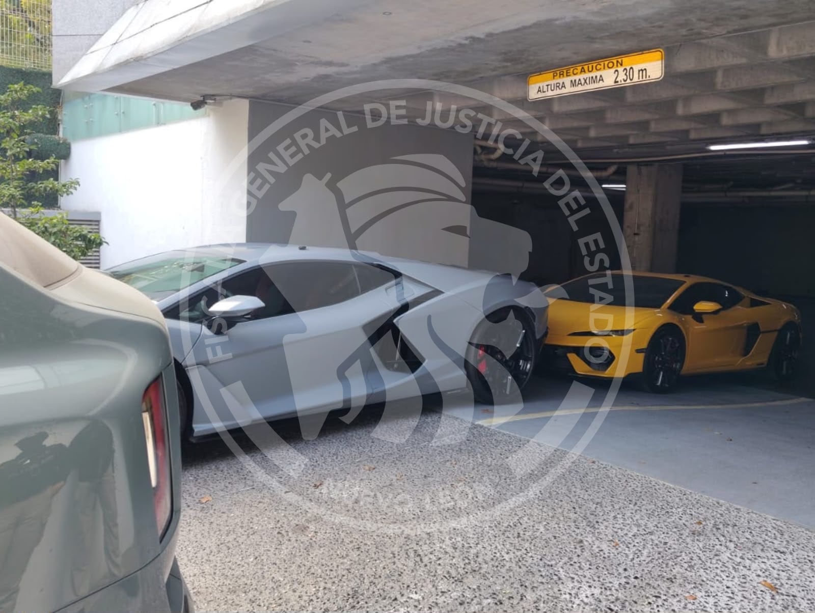 Cateo en San Pedro Garza García