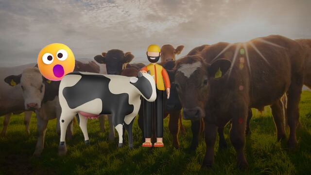 Hombre muere de rabia en Colima tras ser mordido por una vaca.