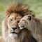 ¿Qué pasa cuando se extingue un animal? Estas son las funestas consecuencias