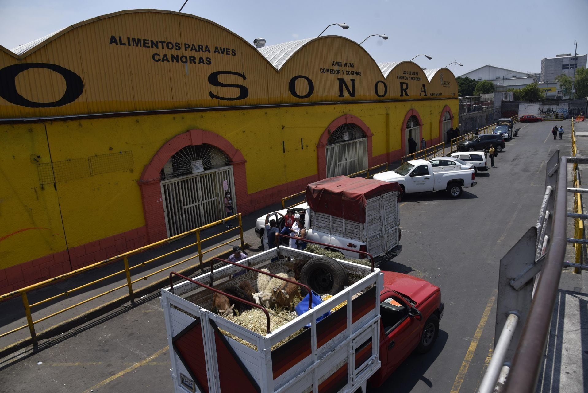 Mercado de Sonora
