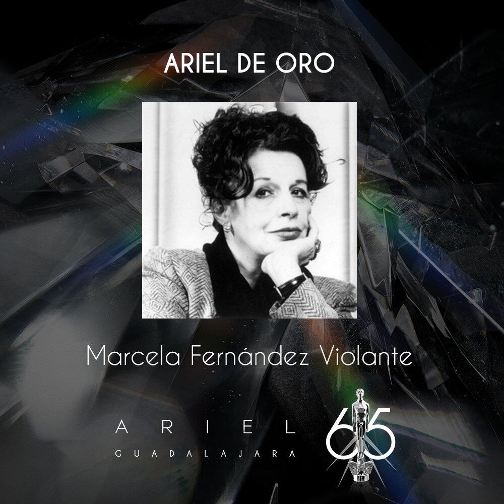 Premio Ariel 2023 premiará a los emblemáticos directores mexicanos Marcela Fernández Violante y Juan Mora Catlett
Marcela Fernández Violante, Juan Mora Catlett será recon