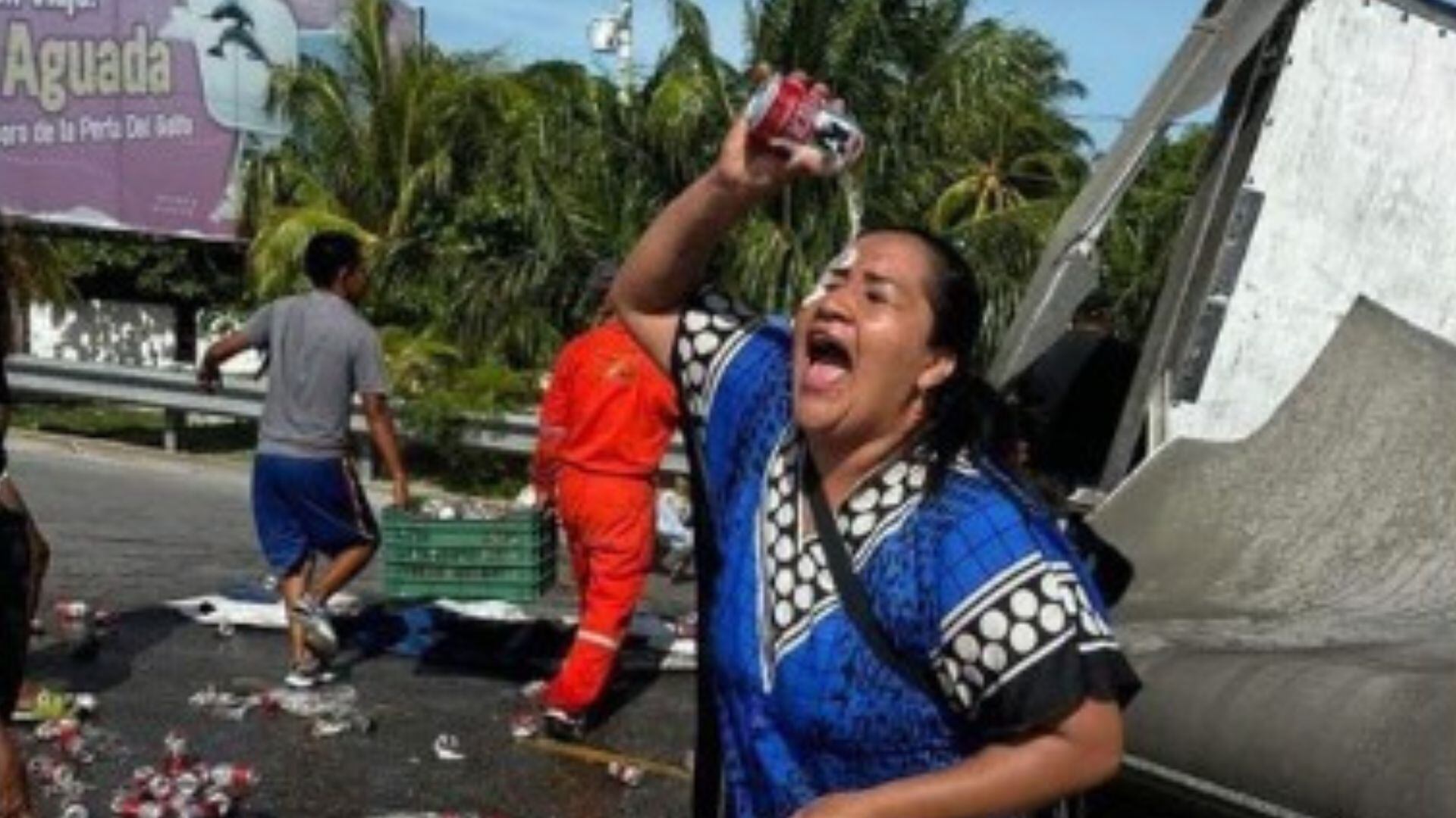 Rapiña en Isla Aguada, Campeche