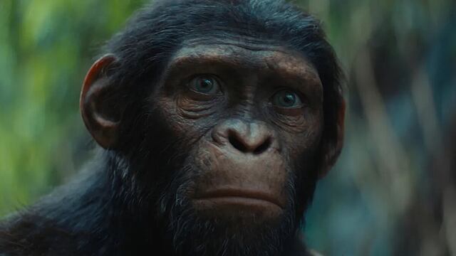 El Planeta de los Simios: Nuevo Reino revela su primer tráiler