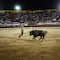 Corridas de toros seguirán en la CDMX: Jueza niega suspensión definitiva contra el cruel espectáculo