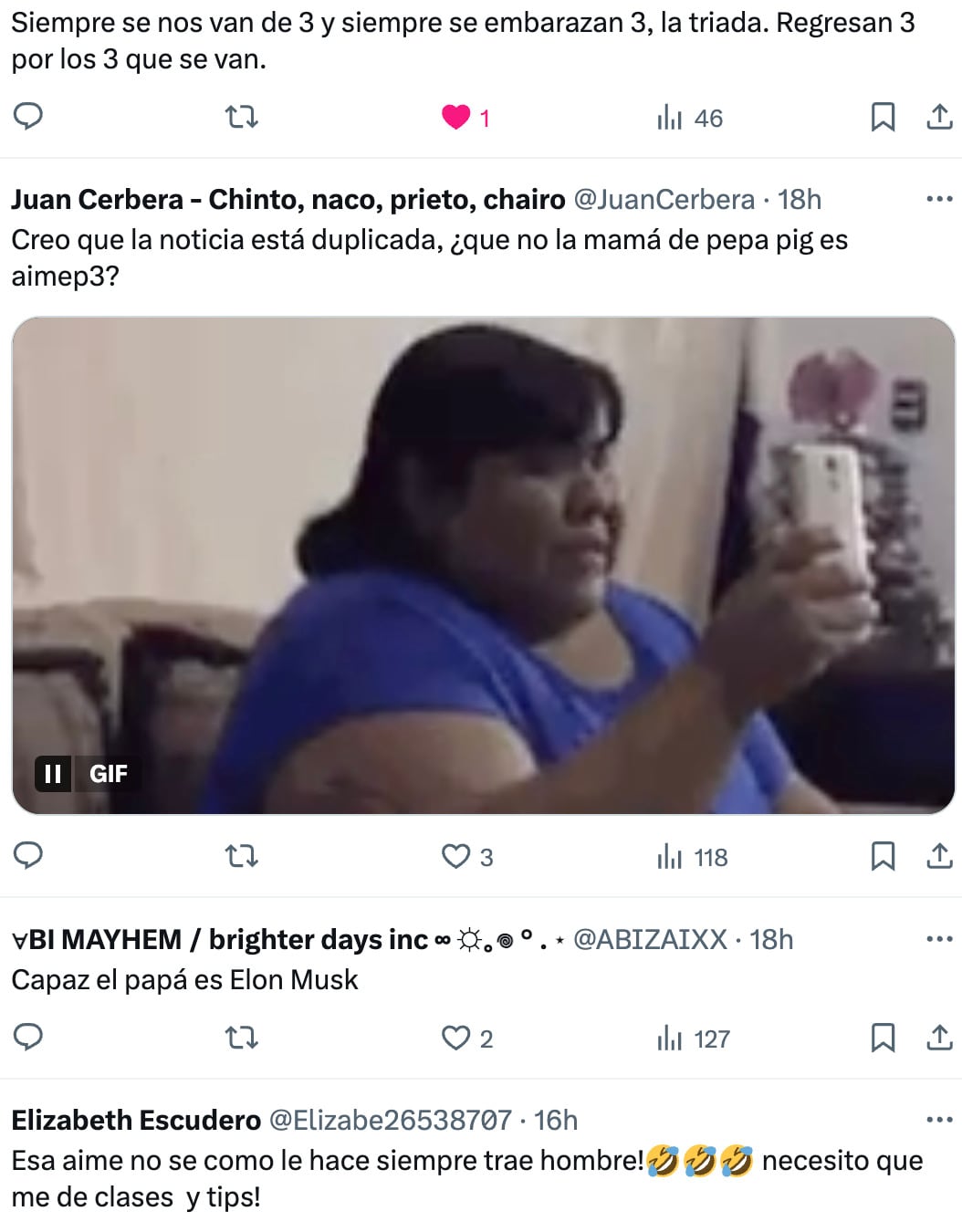 Embarazos de Mamá Cerdita, Aimep3 y Lele Pons