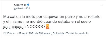 Tweet sobre perro que mordió tras salvarle la vida.