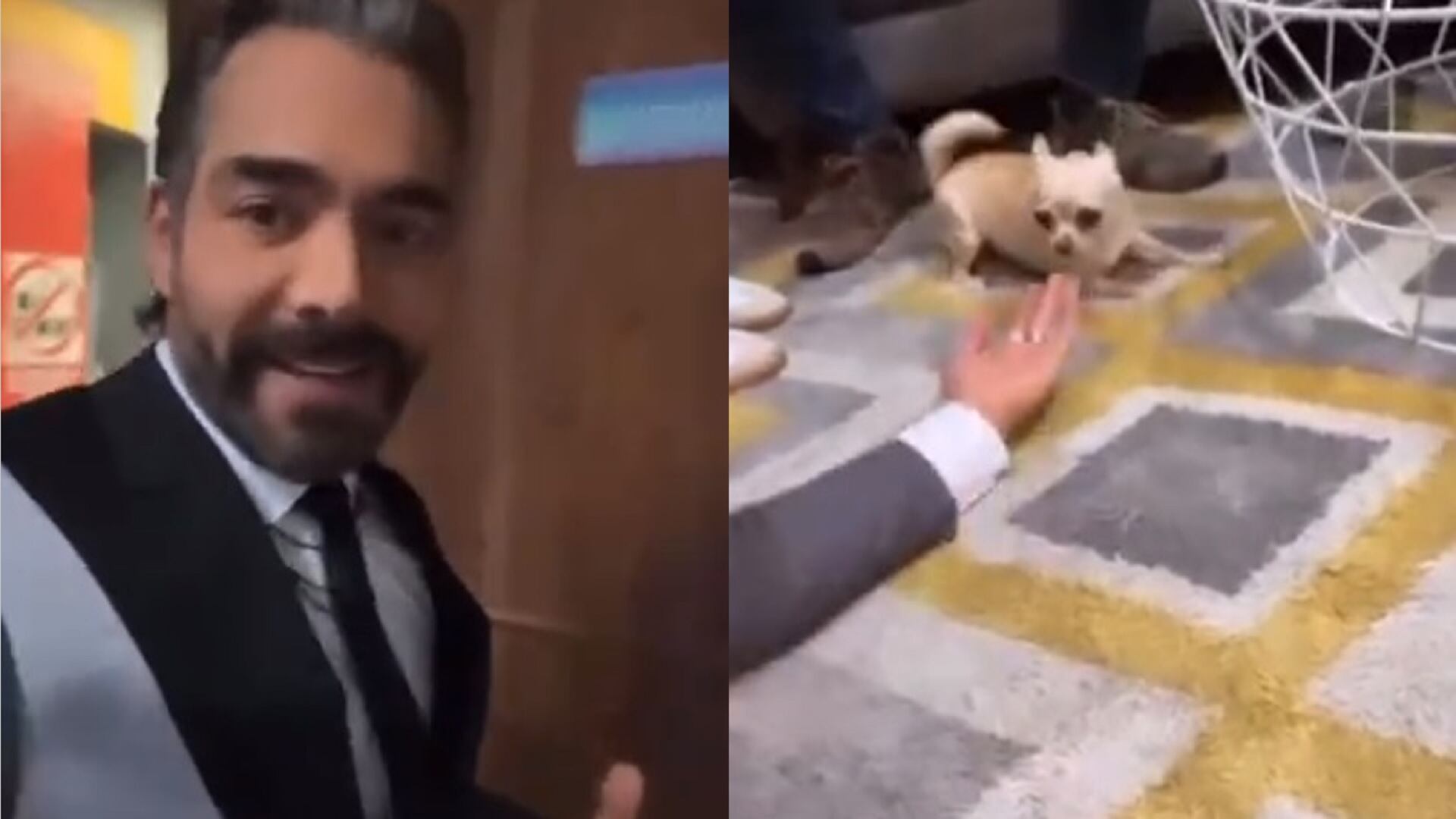 VIDEO: Omar Chaparro confiesa que ama el perro de Yuri; casi lo muerde