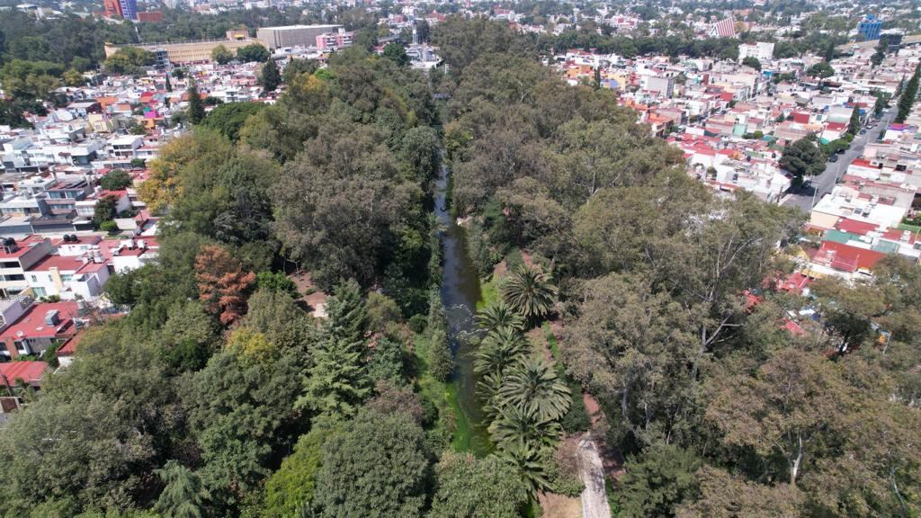 Revegetación de la CDMX