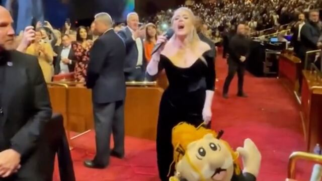 Adele es sorprendida por un peluche del Doctor Simi durante su concierto
