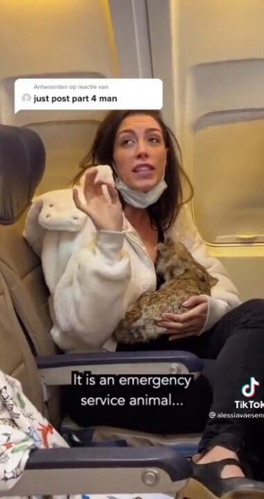Mujer amanta a un gato en pleno vuelo