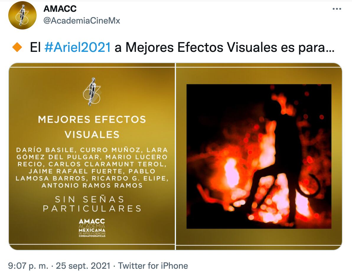Sin señas particulares, Premios Ariel 2021