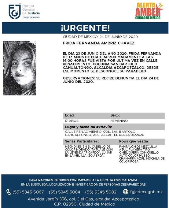 Ficha de búsqueda de Frida.