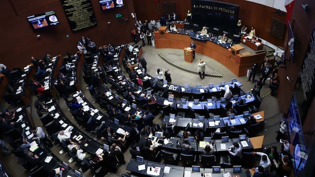 Es probable que el Senado apruebe la reforma judicial este 28 de mayo cuando aún no termina discusión en Cámara de Diputados