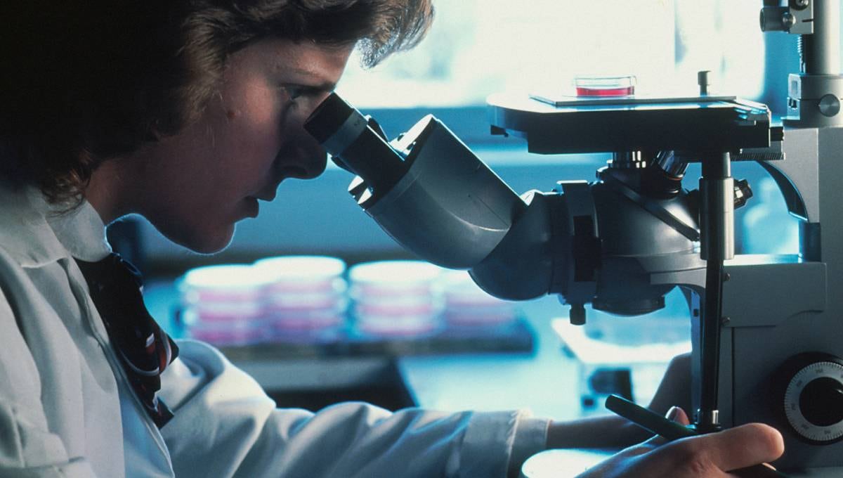 Estudios científicos