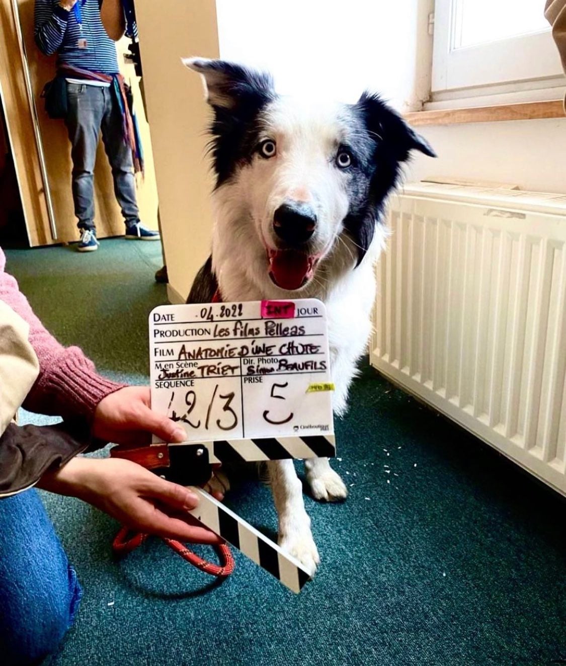 La injusta razón por la que Messi, el perro actor de Anatomía de una caída, no irá a los premios Oscar 2024