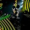 Cambio de última hora: el concierto de Deadmau5 ya no sería gratuito