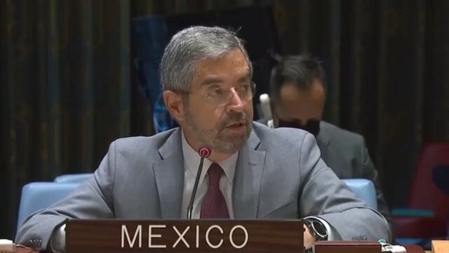 Representante de México en la ONU