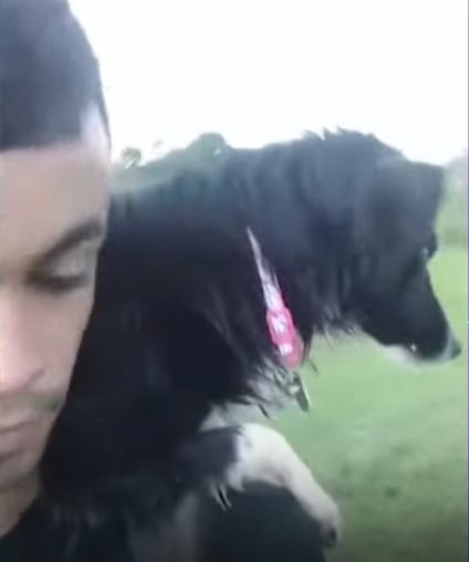 Llega a Estados Unidos con su perrita