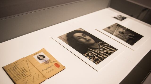 Exhibición en la expo Leonora Carrington: Cuentos mágicos.