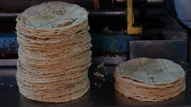 Pese al nuncio del aumento de la gasolina, el precio de la tortilla se mantiene en $20 pesos el kilo