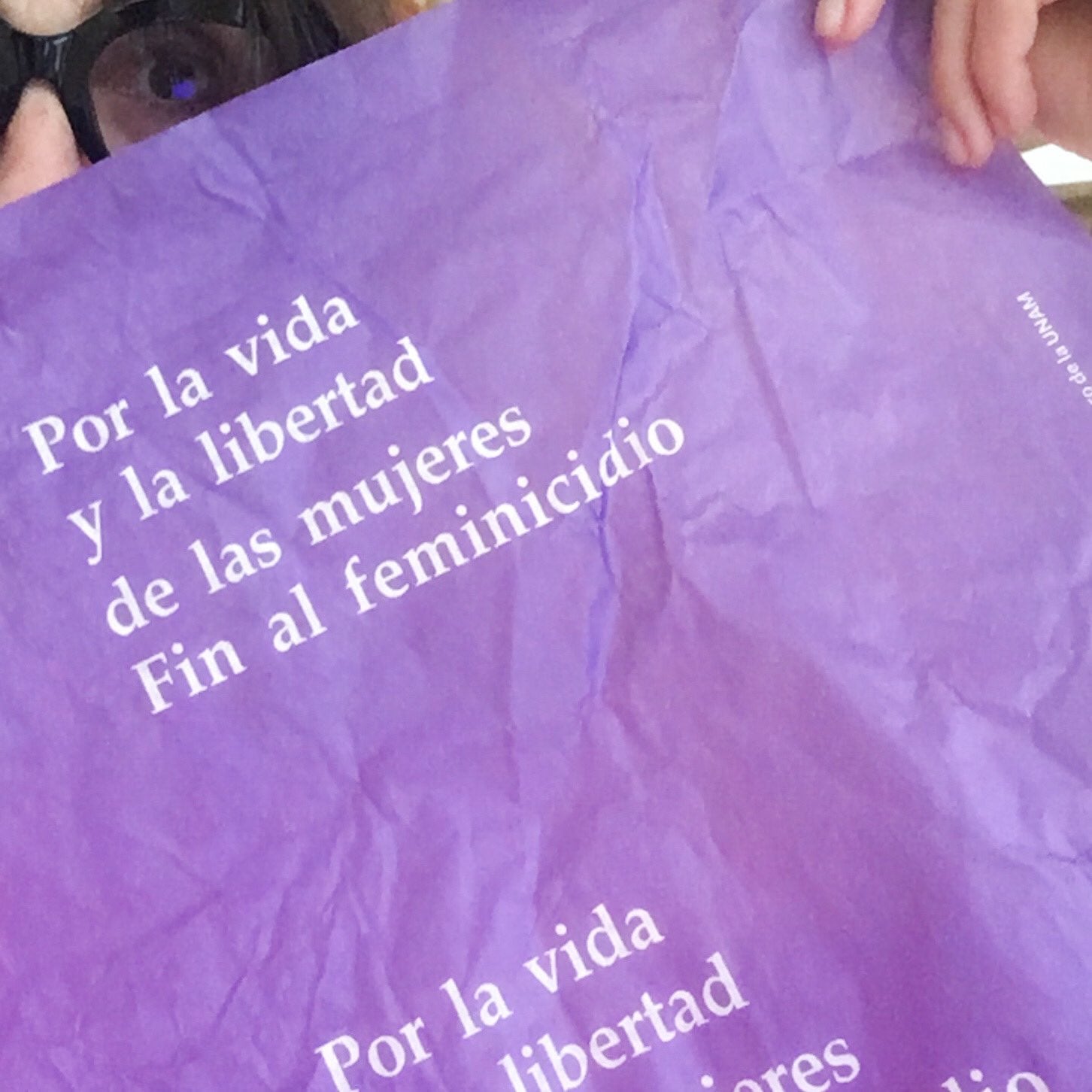 “Por la vida y la libertad de las mujeres Fin al feminicidio”