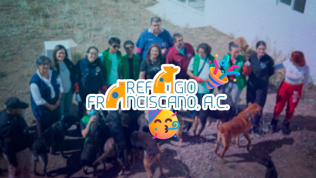 Refugio Franciscano celebra regreso de 156 “franciscanitos”