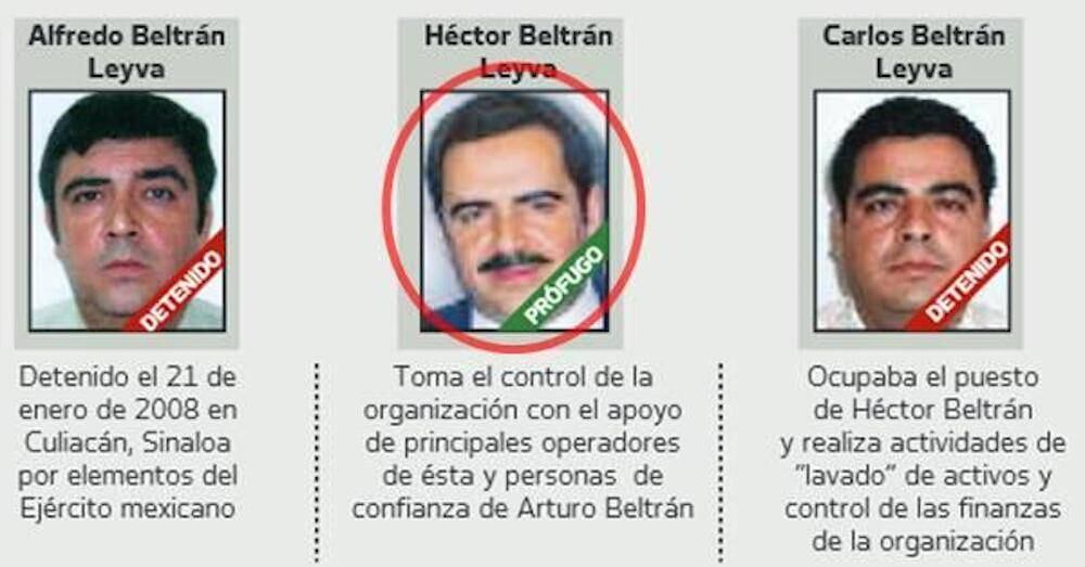 Cártel de los Beltrán Leyva
