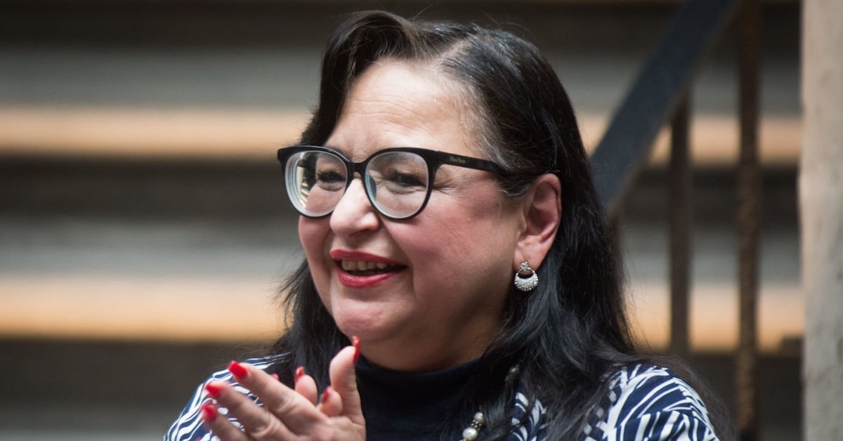 Norma Piña Hernández gana el premio Derechos Humanos 2023 en la ...