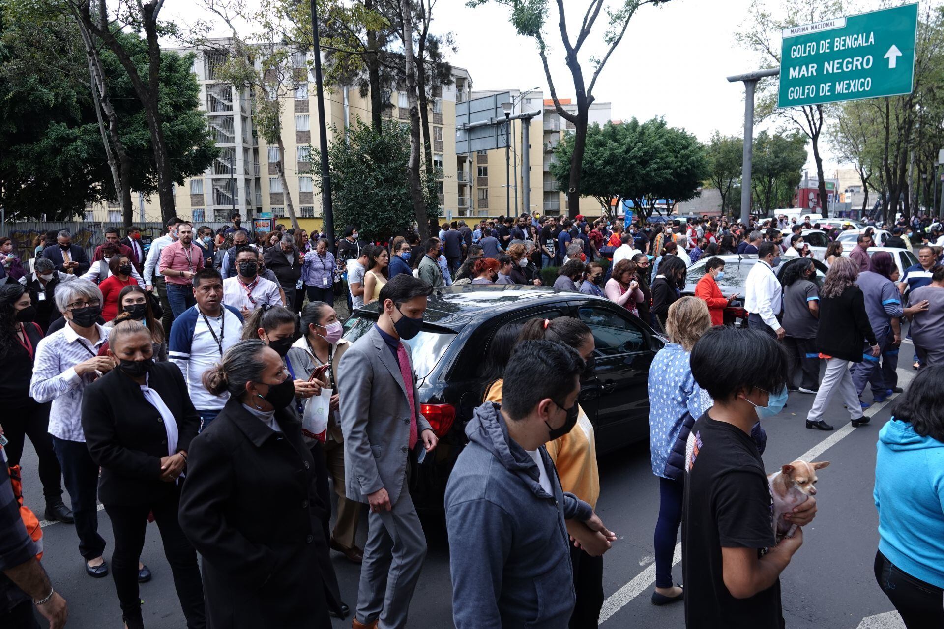 Sismo en México del 19 de septiembre de magnitud 7.7