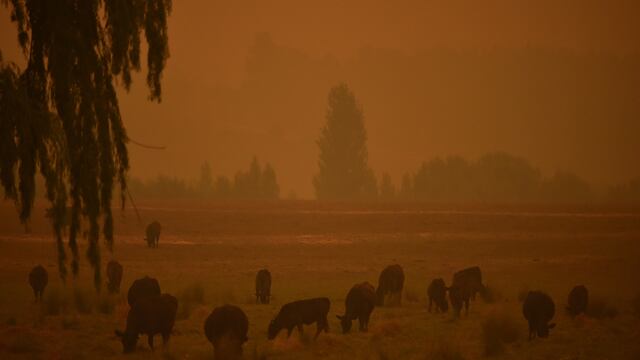 Vista de Nueva Gales del Sur