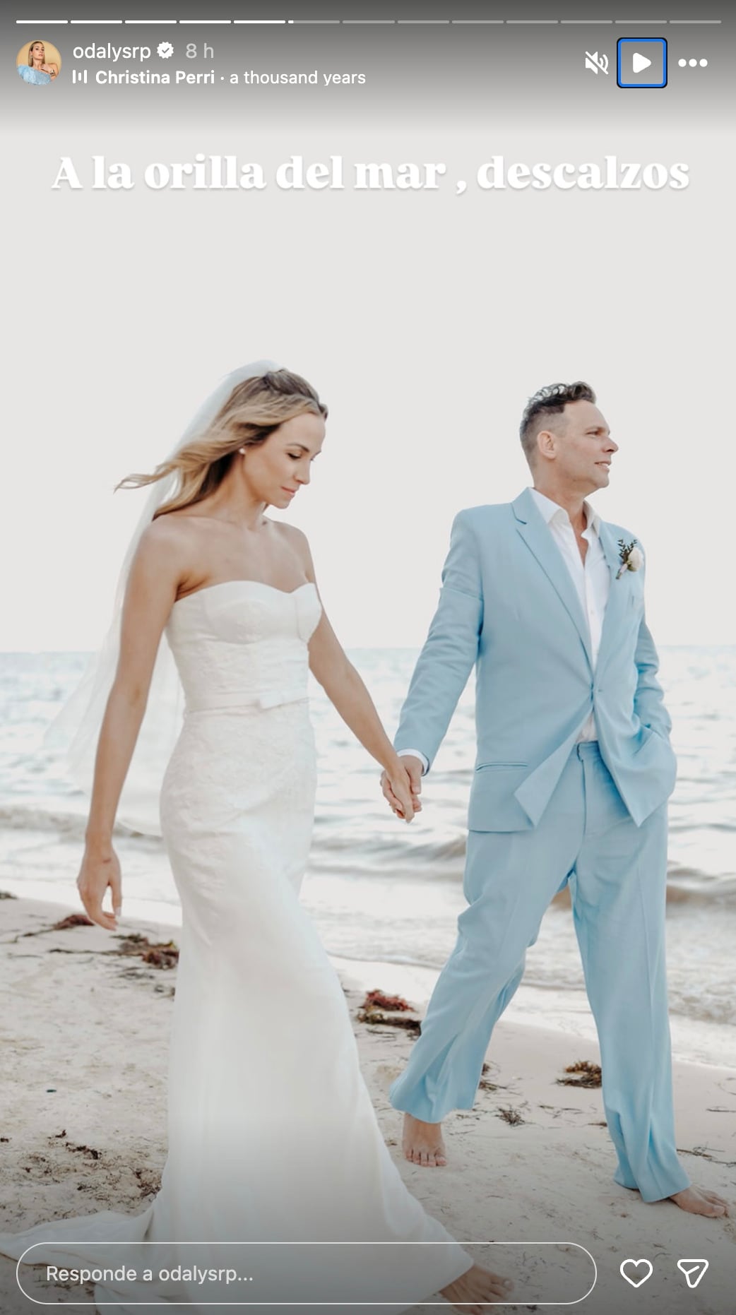 Odalys Ramírez y Patricio Borgetti se casaron en Cancún