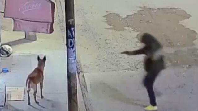 Ecatepec: Policía del Estado de México es detenido por matar a un perro