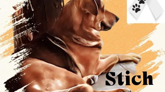 Stitch, el perrito que mataron por robarse un pan