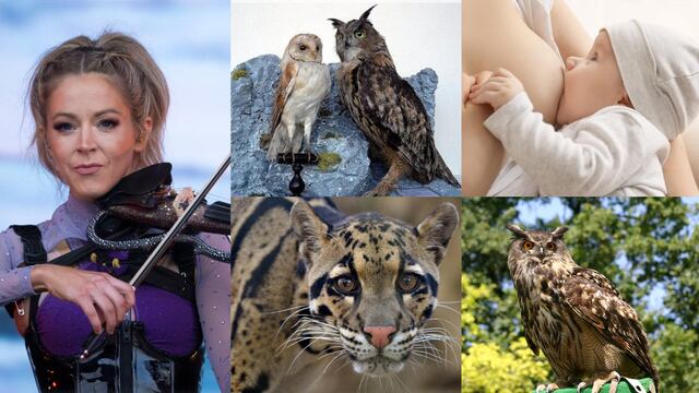 Efemérides del 4 de agosto