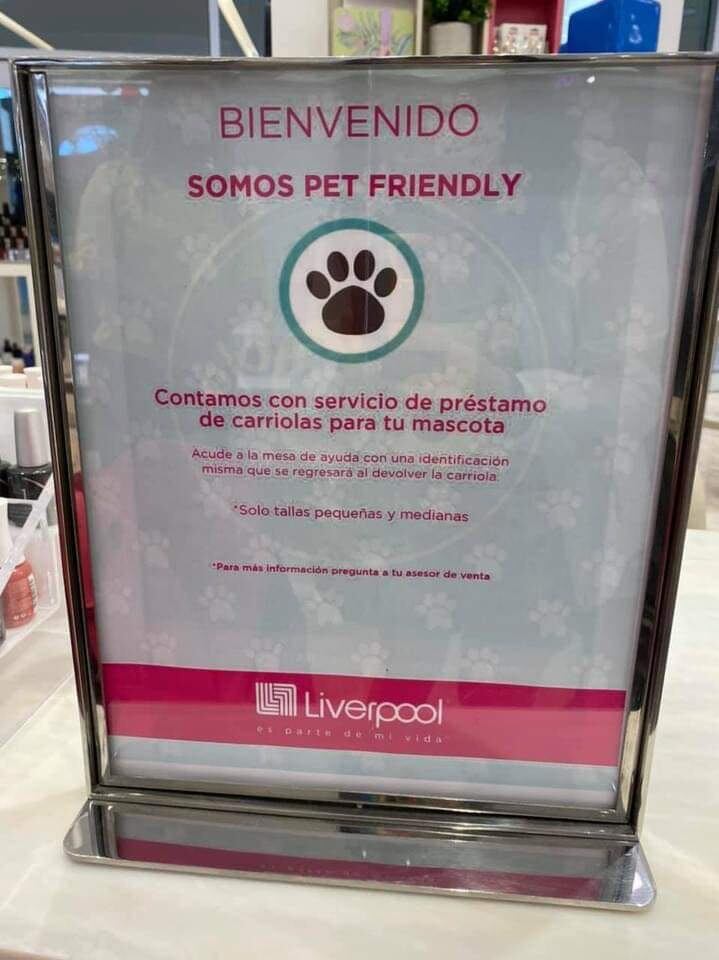 discriminan a perrito en Liverpool por "gordito"