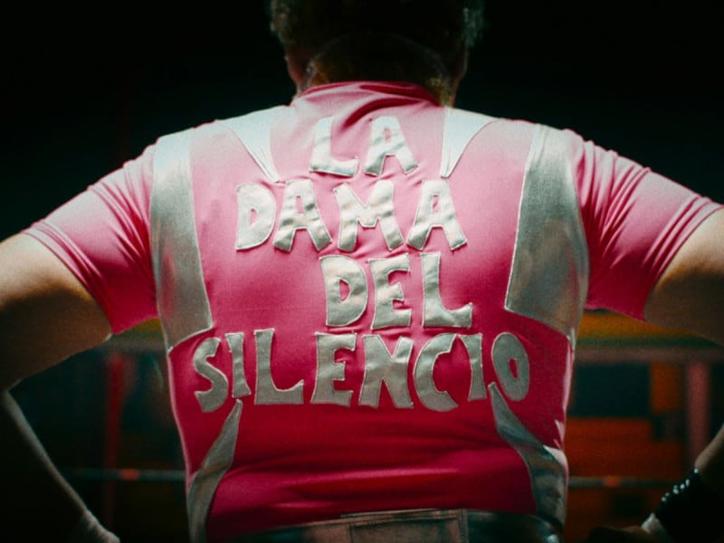 La Dama del Silencio, el caso Mataviejitas