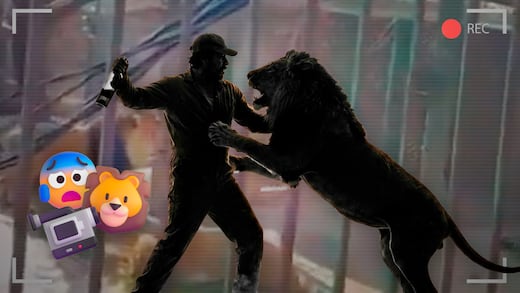 Liberan alerta tras hombre ebrio que soltó leones en Ocoyoacac