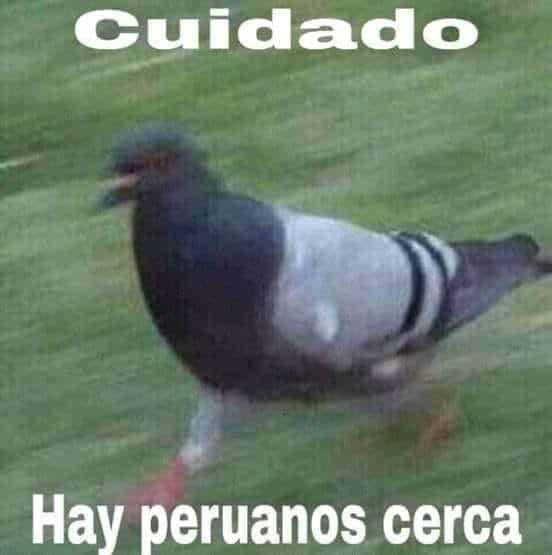 Meme